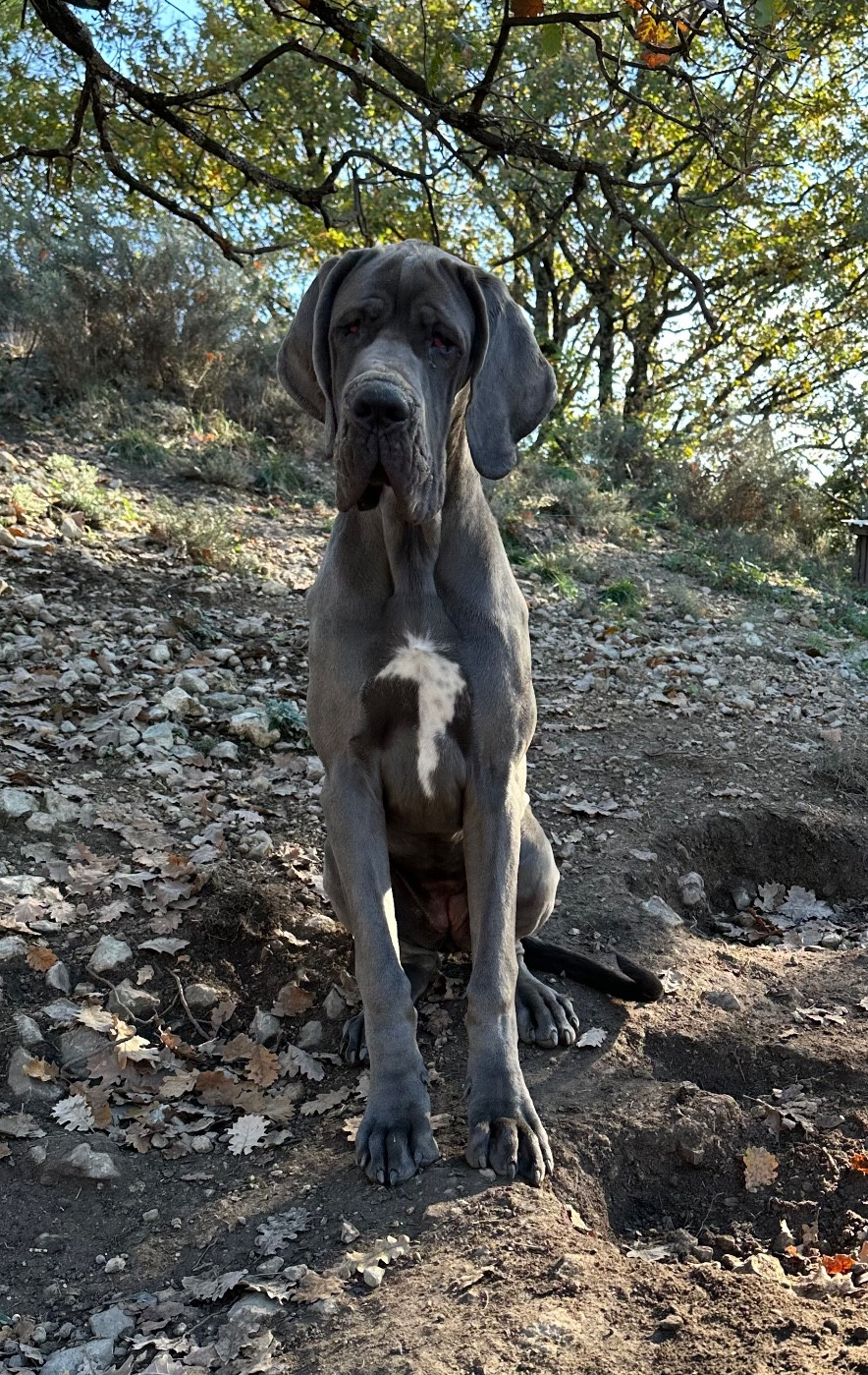 Aska louna de l’outsaïna